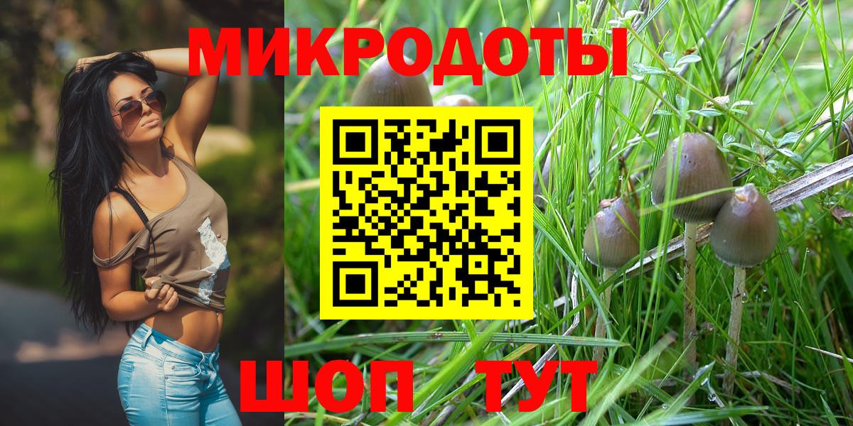 Галлюциногенные грибы Cubensis  Вход с VPN  Галлюциногенные грибы прущие грибы  Партизанск 