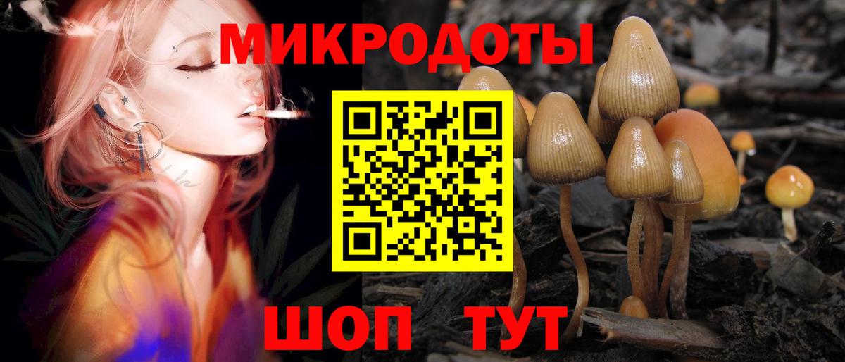 Псилоцибиновые грибы мицелий Партизанск